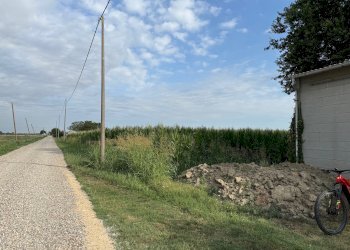 Agricultural land Via Rovere, hamlet Marmorta, Molinella - photo 3