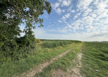 Agricultural land Via Rovere, hamlet Marmorta, Molinella - photo 1