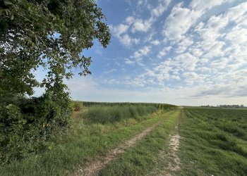 Agricultural land Via Rovere, hamlet Marmorta, Molinella - photo 2