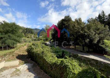 Foto 57 - Appartamento Pescaglia - foto 57