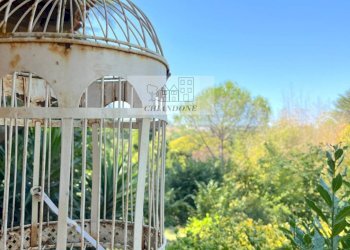 Foto 64 - Villa Rignano Flaminio - foto 64