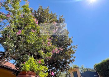 Foto 68 - Villa Rignano Flaminio - foto 68