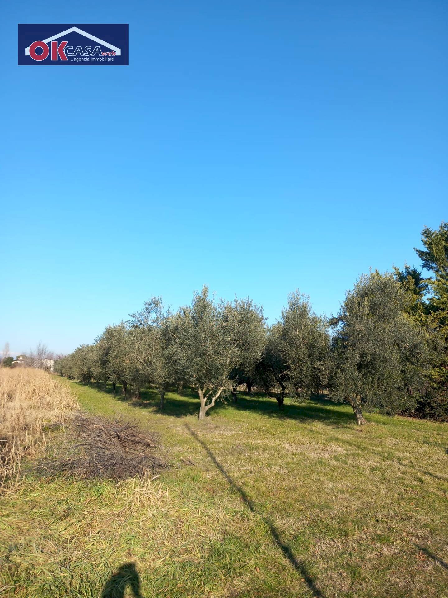 Foto 3 - Terreno agricolo Campo da Baseball, Staranzano - foto 3