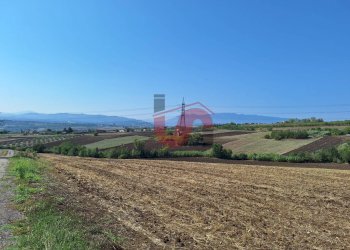 Foto 5 - Agricultural land Contrada Spezzacatene, Benevento - photo 5