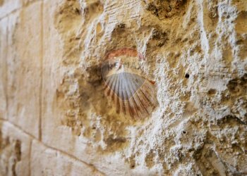 Non correlato - Casa indipendente Via Pietro Aretino
 
17, Triggiano - foto 23