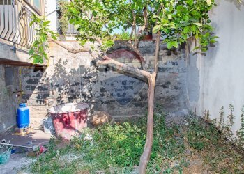 Giardino - Trilocale Via Dei Mille
 
175/A, Misterbianco - foto 14