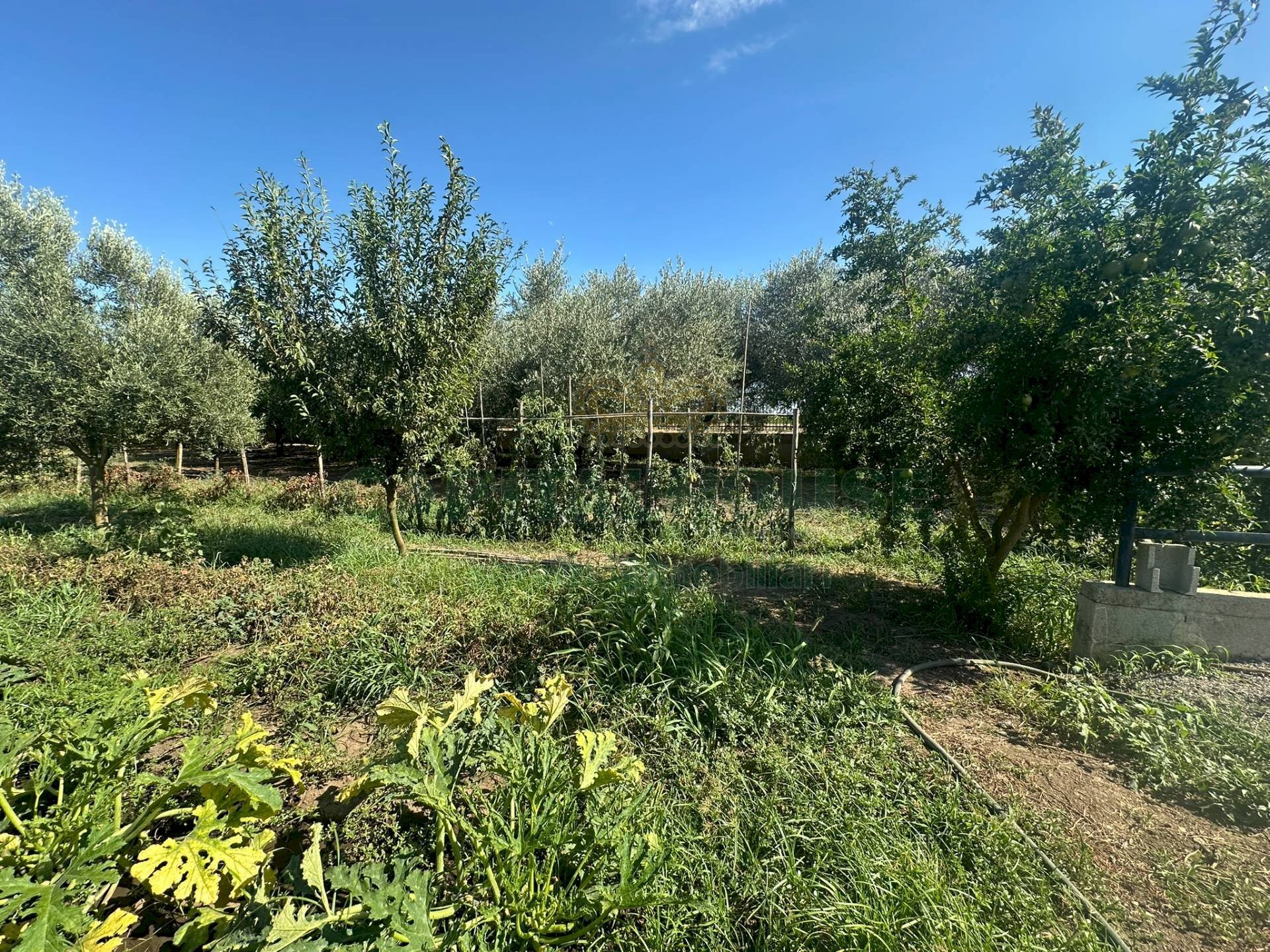 Foto 2 - Building land zona nazionale, Capua - photo 2