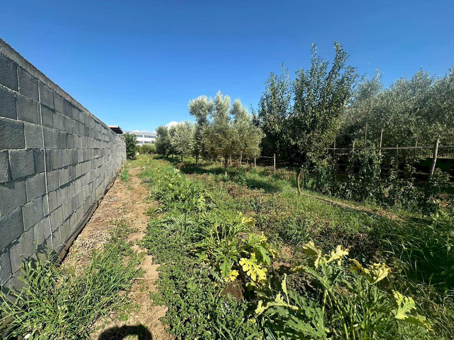 Foto 3 - Building land zona nazionale, Capua - photo 3