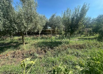 Foto 5 - Terreno edificabile zona nazionale, Capua - foto 5