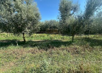 Foto 8 - Terreno edificabile zona nazionale, Capua - foto 8