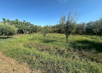 Foto 10 - Terreno edificabile zona nazionale, Capua - foto 10