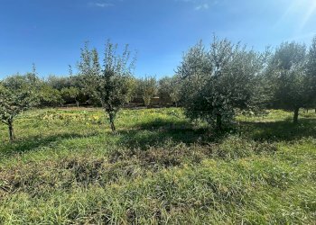 Foto 11 - Terreno edificabile zona nazionale, Capua - foto 11