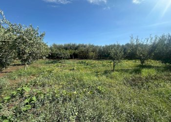 Foto 12 - Terreno edificabile zona nazionale, Capua - foto 12