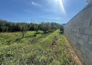 Foto 13 - Terreno edificabile zona nazionale, Capua - foto 13