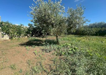 Foto 14 - Terreno edificabile zona nazionale, Capua - foto 14