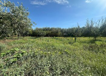 Foto 15 - Terreno edificabile zona nazionale, Capua - foto 15