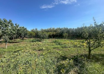 Foto 16 - Terreno edificabile zona nazionale, Capua - foto 16