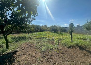 Foto 17 - Terreno edificabile zona nazionale, Capua - foto 17