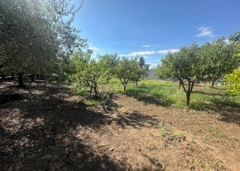 Foto 21 - Terreno edificabile zona nazionale, Capua - foto 21