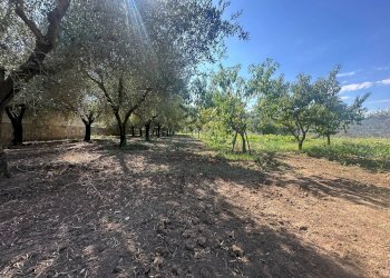 Foto 22 - Terreno edificabile zona nazionale, Capua - foto 22