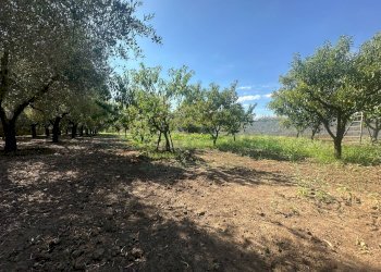 Foto 23 - Terreno edificabile zona nazionale, Capua - foto 23