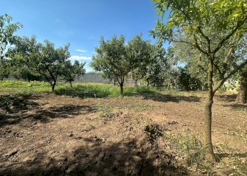 Foto 24 - Terreno edificabile zona nazionale, Capua - foto 24