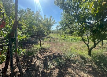 Foto 25 - Terreno edificabile zona nazionale, Capua - foto 25