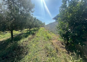 Foto 26 - Terreno edificabile zona nazionale, Capua - foto 26