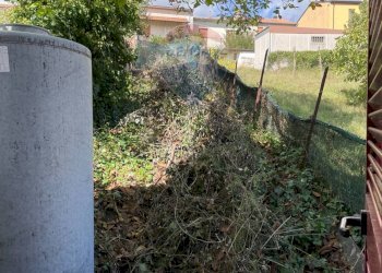 Giardino - Appartamento Via Isernia
 
1, Colli a Volturno - foto 56