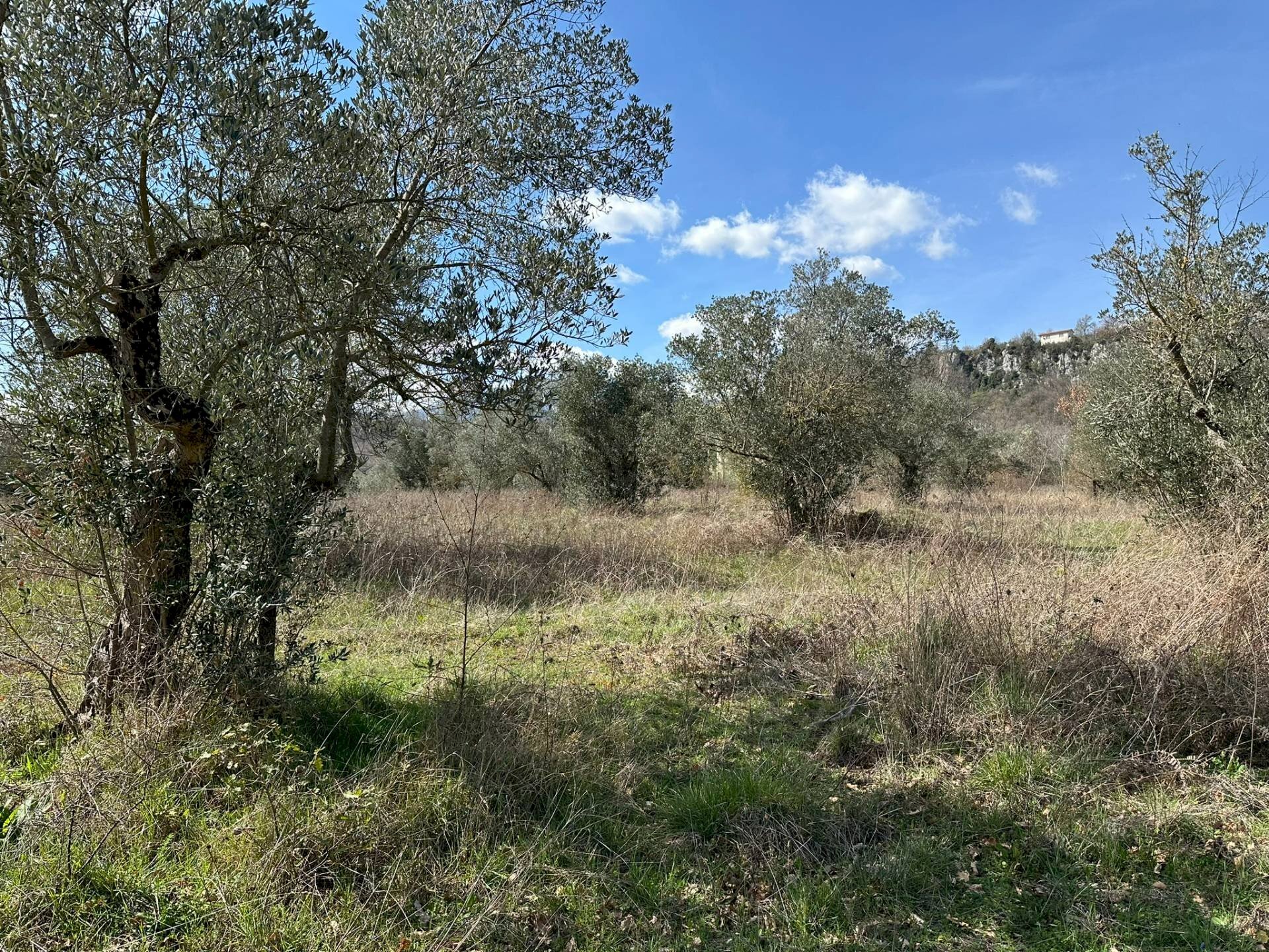 Vista delle montagne - Terreno agricolo Via Buia
 
snc, Rocchetta a Volturno - foto 1