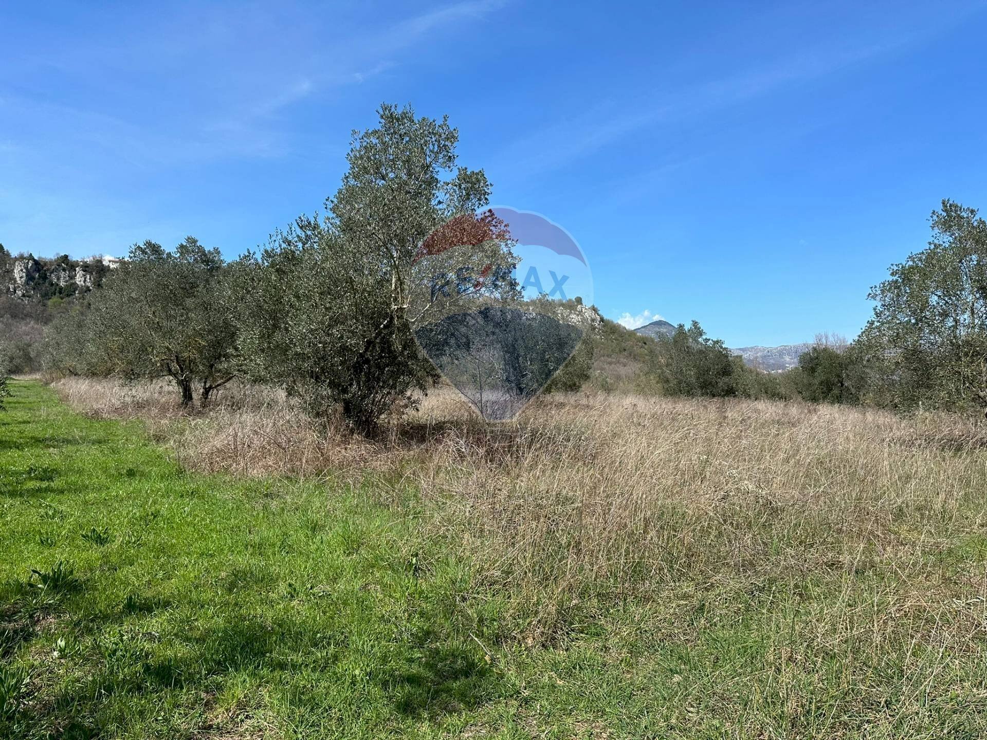Non correlato - Terreno agricolo Via Buia
snc, Rocchetta a Volturno - foto 3