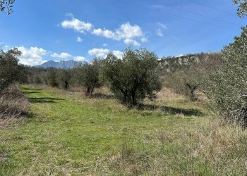 Vista delle montagne - Agricultural land Via Buia
 
snc, Rocchetta a Volturno - photo 2