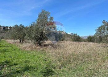 Non correlato - Agricultural land Via Buia
 
snc, Rocchetta a Volturno - photo 3