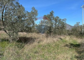 Non correlato - Agricultural land Via Buia
 
snc, Rocchetta a Volturno - photo 5