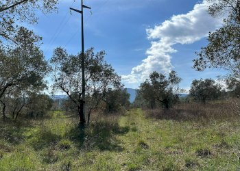 Vista delle montagne - Agricultural land Via Buia
 
snc, Rocchetta a Volturno - photo 7