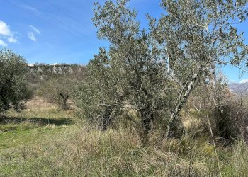 Vista delle montagne - Agricultural land Via Buia
 
snc, Rocchetta a Volturno - photo 11