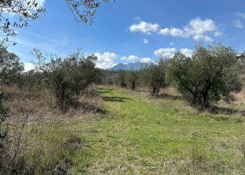 Vista delle montagne - Agricultural land Via Buia
 
snc, Rocchetta a Volturno - photo 12