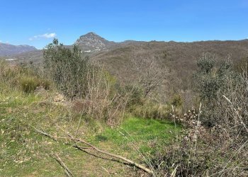 Vista delle montagne - Agricultural land Via Buia
 
snc, Rocchetta a Volturno - photo 13