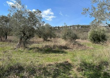 Vista delle montagne - Agricultural land Via Buia
 
snc, Rocchetta a Volturno - photo 14