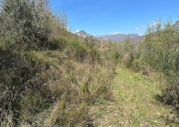 Vista delle montagne - Agricultural land Via Buia
 
snc, Rocchetta a Volturno - photo 15