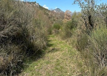 Vista delle montagne - Agricultural land Via Buia
 
snc, Rocchetta a Volturno - photo 16
