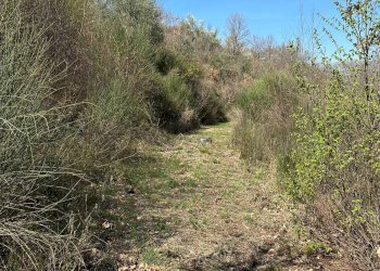 Vista delle montagne - Agricultural land Via Buia
 
snc, Rocchetta a Volturno - photo 19