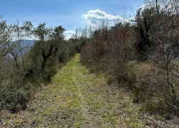 Vista delle montagne - Agricultural land Via Buia
 
snc, Rocchetta a Volturno - photo 22