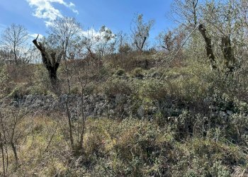 Vista delle montagne - Agricultural land Via Buia
 
snc, Rocchetta a Volturno - photo 23