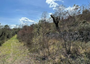 Vista delle montagne - Agricultural land Via Buia
 
snc, Rocchetta a Volturno - photo 24