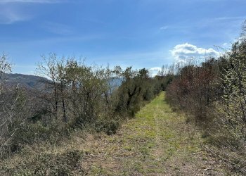 Vista delle montagne - Agricultural land Via Buia
 
snc, Rocchetta a Volturno - photo 25
