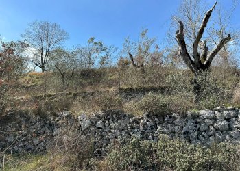 Vista delle montagne - Agricultural land Via Buia
 
snc, Rocchetta a Volturno - photo 27