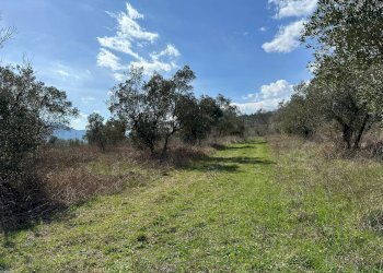 Giardino - Agricultural land Via Buia
 
snc, Rocchetta a Volturno - photo 28