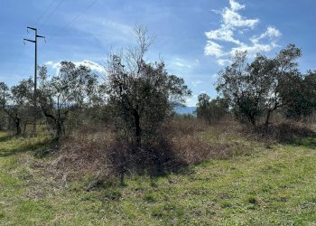 Non correlato - Agricultural land Via Buia
 
snc, Rocchetta a Volturno - photo 29