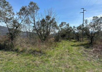 Giardino - Agricultural land Via Buia
 
snc, Rocchetta a Volturno - photo 30